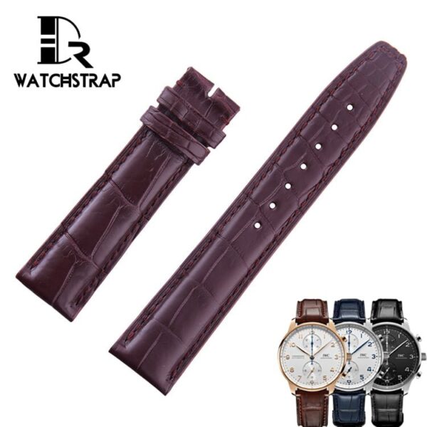 Genuine Alligator Leather Watch Strap for IWC Used With IWC Folding De – Crocodile Viet