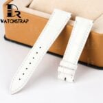 Franck Muller Conquistador 8001 Black alligator leather watch straps (1)