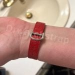 Cartier Santos quickswitch blue alligator leather strap