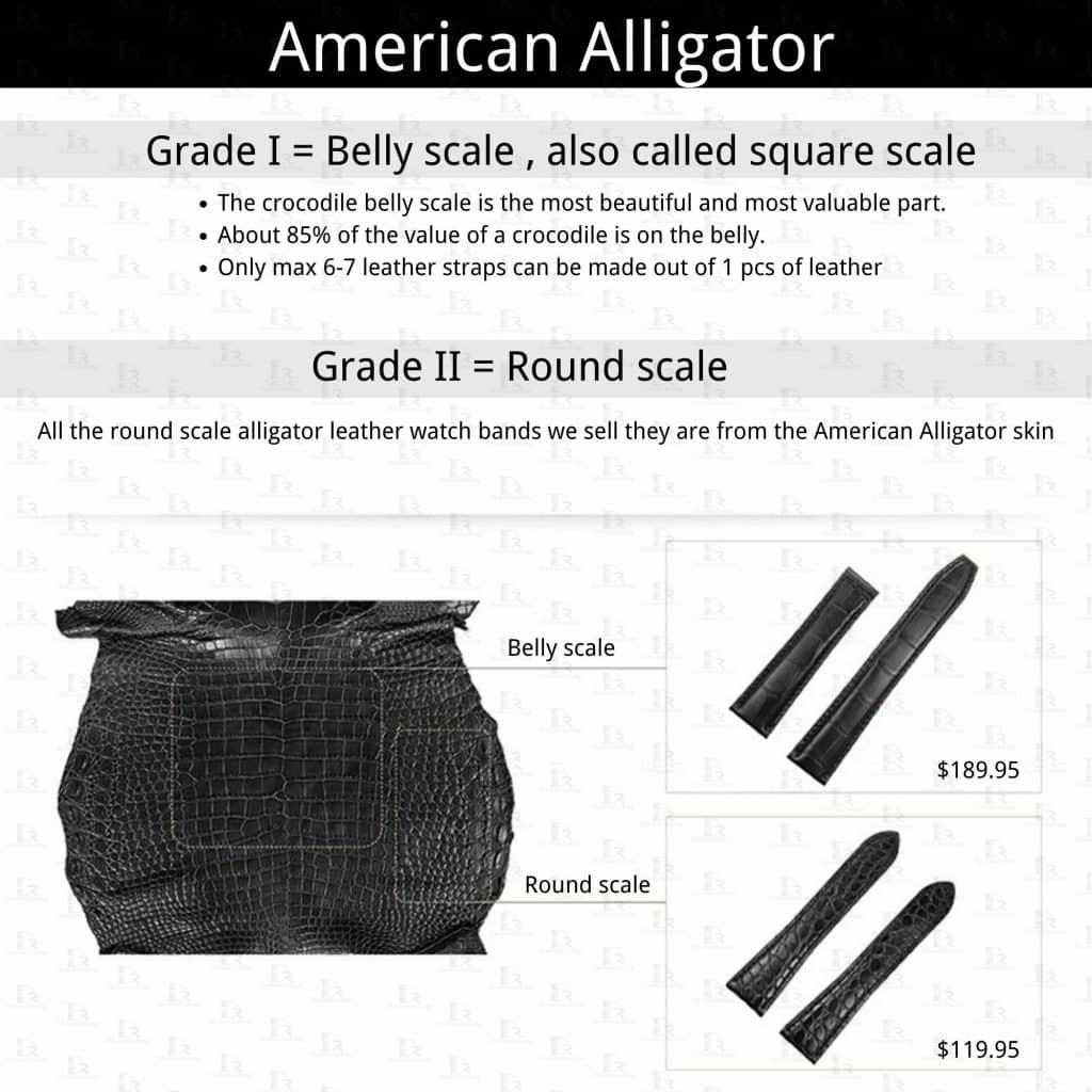 Alligator Skin Guide