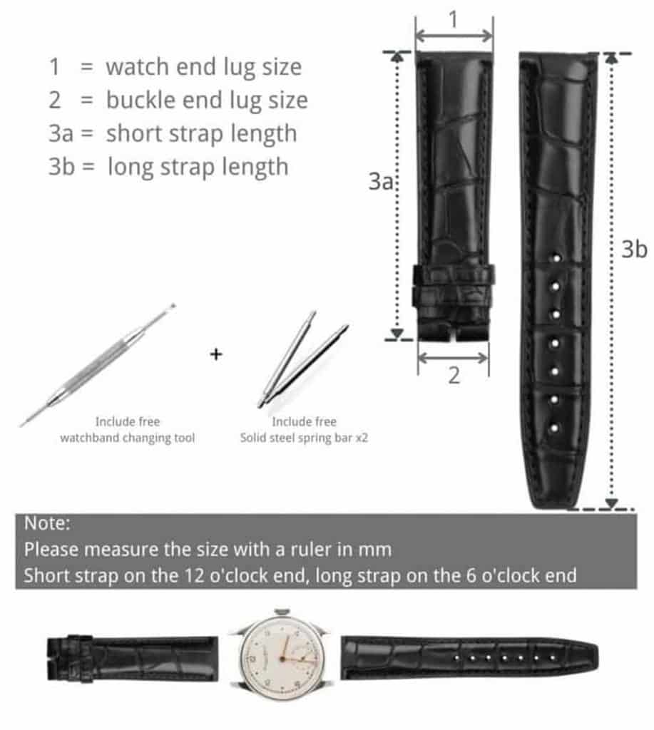 Watch lug size sale