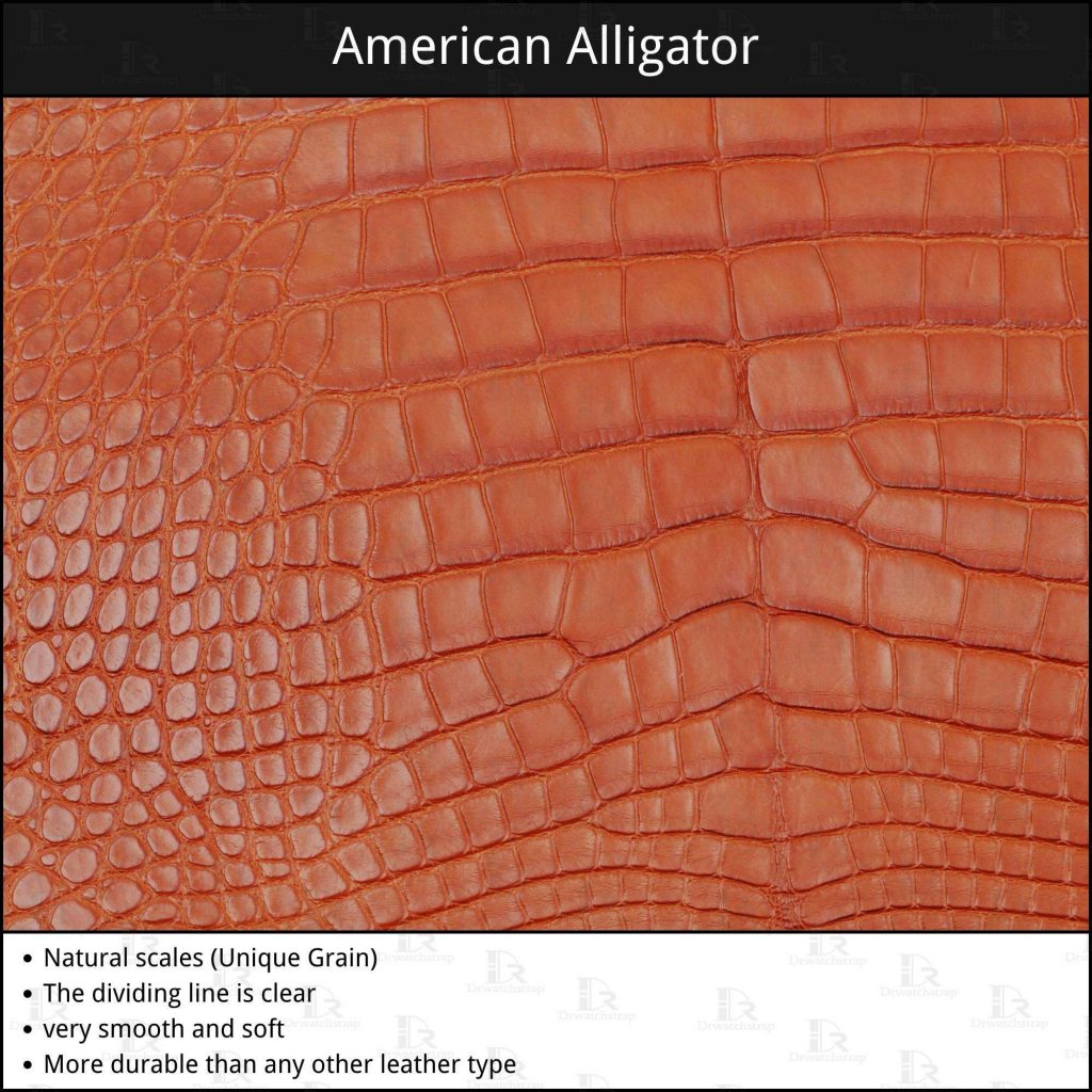 American Alligator leather material pro and cons
