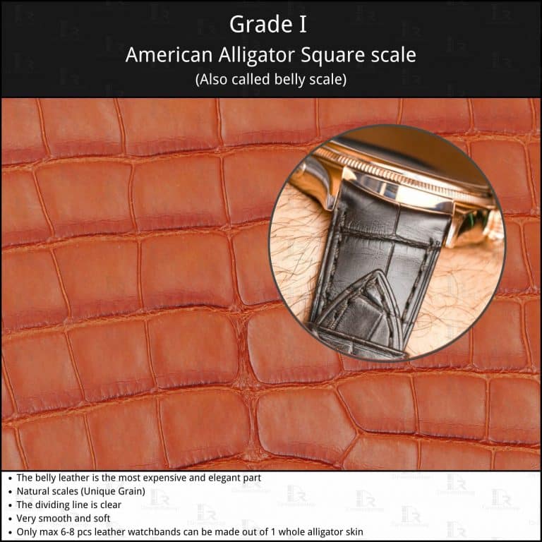 Grade I American Alligator belly scale square grain skin