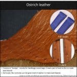 Ostrich leather material watch band strap crowns full grain instruction