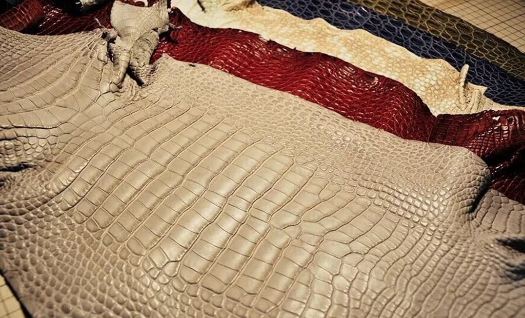 Crocodile Leather: How to Tell a Genuine Skin from a Fake