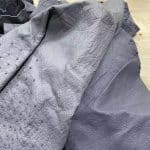 Ostrich-2-grey-colors