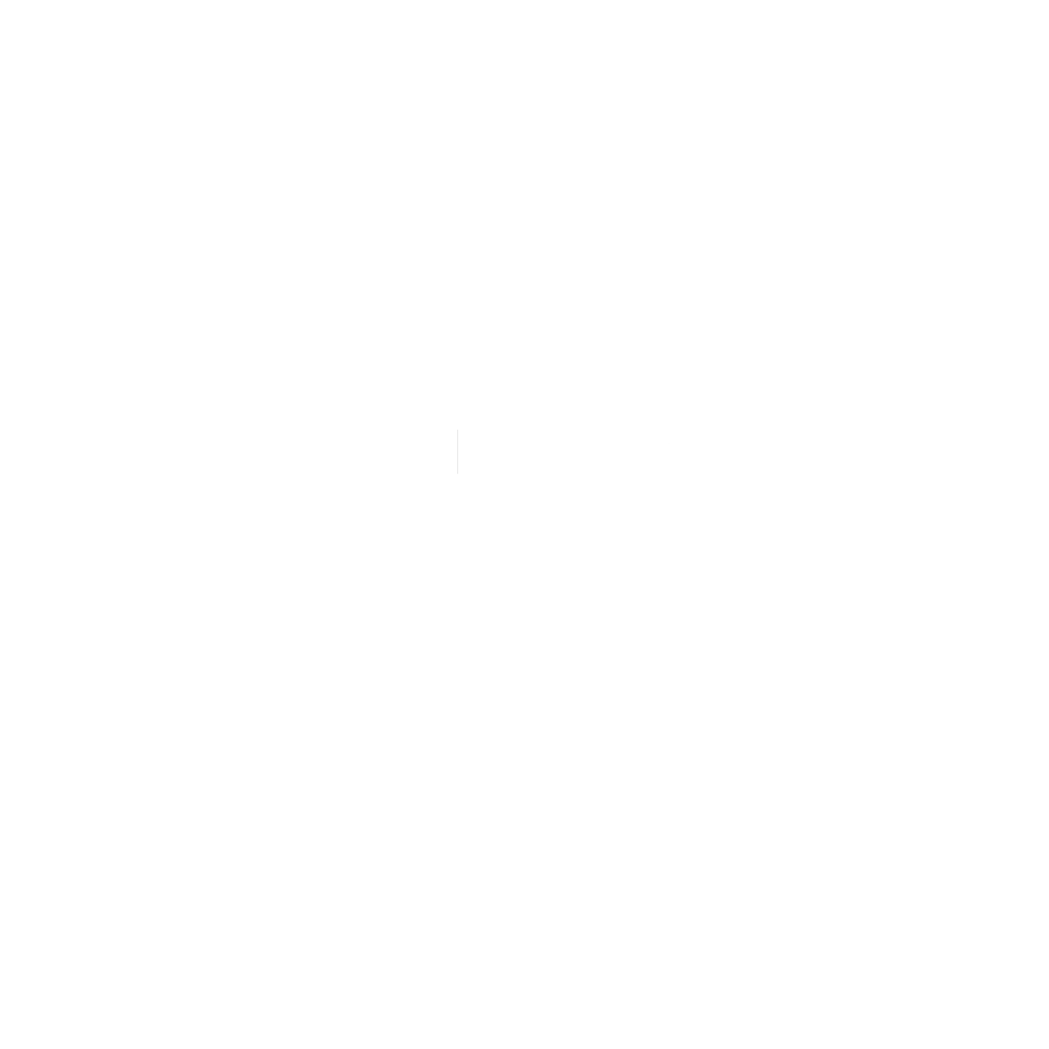 Drwatchstrap logo white